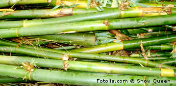 masaż pałkami bambusowymi